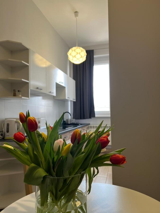 Appartamento Business Center Skierniewice Esterno foto